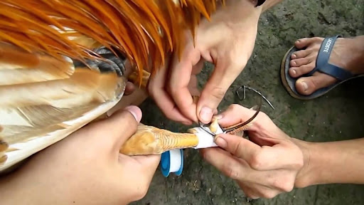 Lưu Ý Quan Trọng Và Sai Lầm Cần Tránh