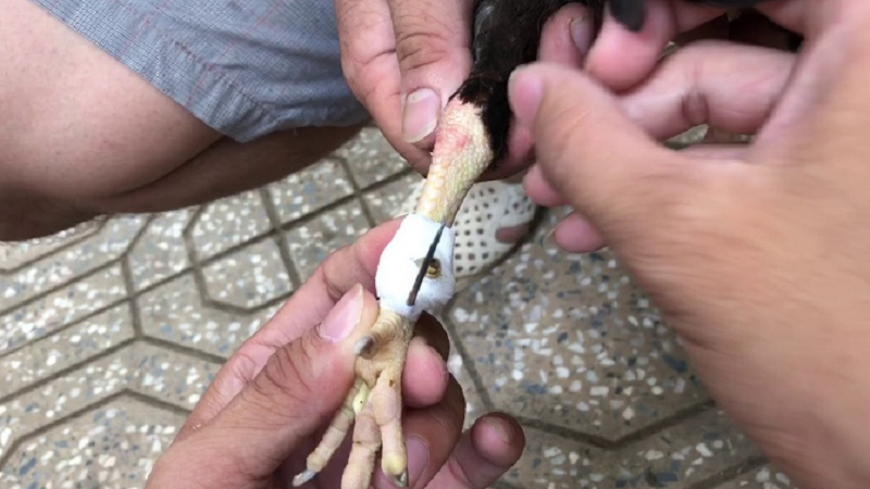 Kỹ Thuật Thực Hiện An Toàn