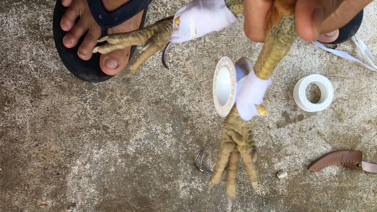 Dụng Cụ Và Vật Liệu Cần Thiết