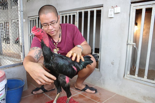 Phương Pháp Rèn Luyện Thể Lực