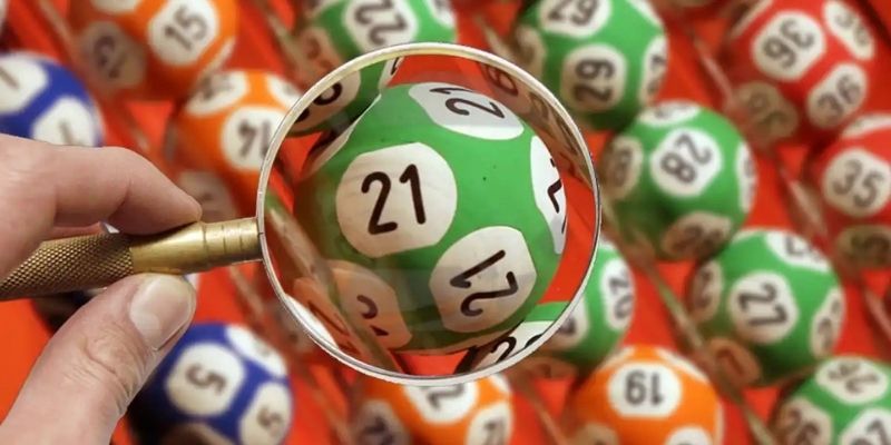 Lô Ba Càng Là Gì? Định Nghĩa Chi Tiết