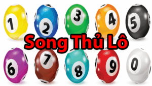 Song Thủ Lô Là Gì? Định Nghĩa Chi Tiết