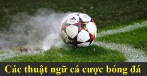 Thuật Ngữ Cá Cược Là Gì? Định Nghĩa Chi Tiết